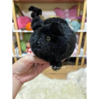 ราคา Jellycat Kitten Caboodle Black (Retired) (26341246689)