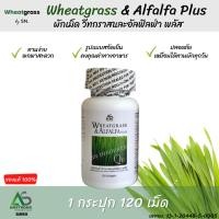 ราคา ผักเม็ด Wheatgrass & Alfalfa Plus ผักอัดเม็ด แอมสตรอง ผักเม็ดอาหารเสริม ผักอัดเม็ดสกัดเย็น สีดำ 120 เม็ด (19101467475)