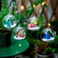 ราคา ALISONDZ แขวนแจกันแก้ว, Ball โปร่งใสแขวน Tealight ผู้ถือ, Ball คอนเทนเนอร์ 6/8/10/12/15 ซม.แก้ว Borosilicate แก้วใส Planter ตกแต่งบ้าน (51408459070)