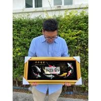 ราคา [9 x 23 นิ้ว] ภาพมงคลกรอบรูป ปลาคราฟ 9 ตัว เสริมฮวงจุ้ย เพิ่มบารมี (22569833508)
