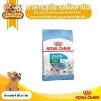 ราคา Royal Canin mini starter อาหารแม่สุนัข และลูกสุนัขพันธุ์เล็ก 1 kg (18308093982)