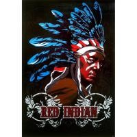 ราคา โปสเตอร์ ภาพกราฟฟิก อเมริกัน อินเดียแดง Native American Indian Graphic POSTER 24”x35” Inch Painting Western V16 (1616772919)