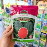 ราคา (100 กรัม) เมล็ดแตงโมกินรี C-28 ซอง ตราตะวันต้นกล้า โฉม่ใหม่!! (4419179471)