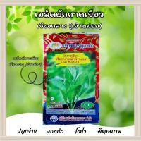 ราคา เมล็ดผักกาดเขียวเชียงกลาง (เจ้าหม่อม) ตราภูเขาทอง (23776132961)