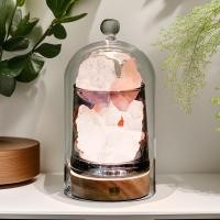 ราคา รสชาติ diffuser ขายส่งครัวเรือนน้ำหอมปลอดไฟไหม้น้ำหอมน้ำหอมอาหารเสริมน้ำมันหอมระเหยของที่ระลึกของที (26241567659)
