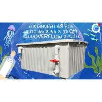 ราคา อ่างเลี้ยงปลา 65 ลิตร อ่างขาวท่อขาว ระบบระบายน้ำดูดบนดูดล่าง 64x44x31ซ. อ่างปลาบอลลูน อ่างปลา อ่างปลาสวย กะบะเลี้ยงปลา (44954474073)