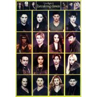 ราคา โปสเตอร์ หนัง แวมไพร์ ทไวไลท์ Twilight Movie โปสเตอร์ติดผนัง โปสเตอร์สวยๆ ภาพติดผนัง poster (20405161045)