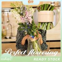 ราคา [ecshop1.ph] ที่วางก้านเกลียว DIY ช่อดอกไม้ Twister สําหรับแจกัน, ที่วางก้านดอกไม้ A 2 ชิ้น (44558419454)