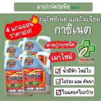 ราคา กำจัดหญ้า กลูโฟสิเนต กาซิเน็ต เผาไหม้-ดูดซึม กลูโฟซิเนต 4 ลิตร (4แกลอน) (48606388874)