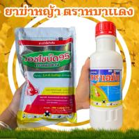 ราคา ยาฆ่าหญ้าตราหมาแดง ชนิดน้ำและชนิดผง (27485675339)