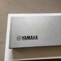 ราคา YAMAHA YAMAHA ST กีตาร์ไฟฟ้าเปียโนกรณีเปียโน Silver Guitar Case Moisture-Proof Shock-Proof Checkable (46158151874)