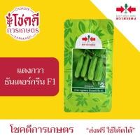 ราคา แตงกวา ธันเดอร์กรีน F1 เมล็ดพันธุ์ เมล็ดแตงกวา แตงกวา ลูกผสม ตรา ศรแดง บรรจุ 100/50 กรัม (48350734740)