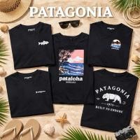 ราคา เสื้อยืด Patagonia สีดำ | size L อก 40 นิ้ว | มือสอง สภาพดี 90% ไม่มีตำหนิ (47809083071)