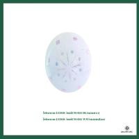 ราคา โคมไฟเพดาน 18watt Success CM-011 (5852104941)