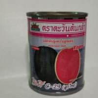 ราคา เมล็ด​พันธ์​ุ​แตงโม​ กินรีC29​ (ลูกใหญ่)​ (2359424069)