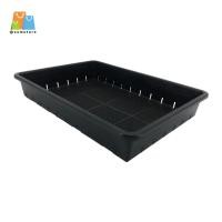ราคา ถาดเพาะใหญ่ ขนาด 35.5x55.5x8 cm รุ่น B-1111 (42677016810)