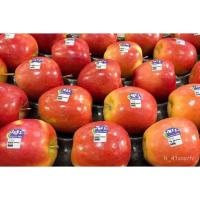 ราคา อินทรีย์็ด ใหม่็ด 20 ใหม่็ด ใหม่็ดแอปเปิ้ล สายใหม่แจ๊ส (Jazz Apple) ของแท้ 100% อัตราใหม่ 70-80% Apple seeds มี คละ (23830404238)