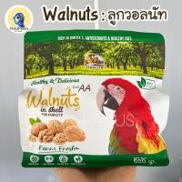 ราคา Farmland Walnuts วอลนัท เกรด A สำหรับนกแก้ว และสัตว์ฟันแทะ ถุงบริษัท 500 g. (50052943855)