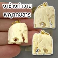 ราคา UNI(999)พญาช้างกำจาย แกะสลักจากงาคชสาร แกะสลักได้สวยงามมากขนาดประมาณ 2.5 ซม เป็นเครื่องรางอนุภาพมีในตัวอยู่แล้ว (21890300320)