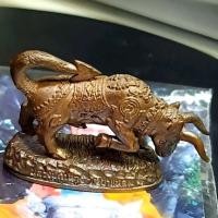 ราคา วัวธนู คนองฤทธิ์ เนื้อนวะ หลวงปู่กาหลงเขี้ยวแก้ว วัดเขาแหลม พิธีจักรพรรดิ์นาราย์ ปี๕๑ (14786176471)