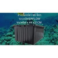 ราคา อ่างเลี้ยงปลา 65 ลิตร อ่างเปล่าสีดำ 64x44x31ซ. อ่างปลาสวย กะบะเลี้ยงปลา อ่างเลี้ยงปลา อ่าง ปลาอ่างปลาบอลลูน อ่างปลากัด (46205419474)
