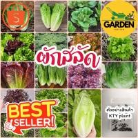 ราคา Garden yosting_เมล็ดผักสลัด​ หลาก​หลายชนิด กรีนคอส, กรีนโอ๊ค, บัตเตอร์​เฮด, ผักกาด, ผักเคล, มินิคอส และอีกมากมาย_Garden (27969526559)