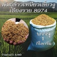 ราคา เมล็ดพันธุ์ข้าวเหนียวนาปี ข้าวเหนียวเขี้ยวงู เชียงราย 8974 บรรจุ 1 Kg. พันธุ์ข้าวอย่างดี ปลูกเองขายเองโดยวิธีธรรมชาติ (26368081342)