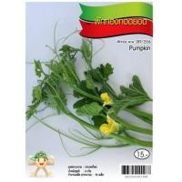 ราคา เมล็ดพันธุ์ ฟักทองยอด ปุ๋ย เมล็ดพันธุ์ (3334630775)