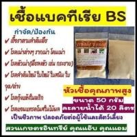 ราคา กำจัดเชื้อรา บีเอส 50กรัม , บาซิลลัส ซับทีลิส ป้องกันกำจัดโรคพืชที่เกิดจากเชื้อราไม่ดี รากเน่าโคนเน่า ใบไหม้ แคงเกอร์ (8615117538)