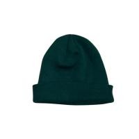 ราคา หมวก BEANIE HAT สีเขียว FOREVER 21 สภาพดี (43311302111)