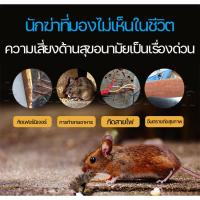 ราคา 30pcs ยาฆ่าหนูแบบแห้ง ยาฆ่าหนู ยากำจัดหนู กำจัดหนูในบ้าน ยาฆ่าหนู พิษหนูทรงพลัง,เหยื่อหนู,ยาฆ่าหนู ยาฆ่าหนู พิษหนู (41661472046)