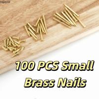 ราคา RUJIER 100 ชิ้นเล็บทองเหลือง,ทองเหลืองบริสุทธิ์รอบหัว Pins,ชุดสารพัน Rust-proof Water-proof เส้นผ่านศูนย์กลาง 1.2 / 1.5 / 2 มม.ตกแต่ง Pins บานพับเฟอร์นิเจอร์ (45557851389)