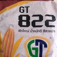 ราคา เมล็ดพันธ์ข้าวโพดGT822จีที822(3.5หุน) (25430628588)