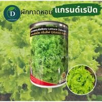 ราคา เมล็ดผักกาดหอม ผักสลัด ผักกาดหอม แกรนด์เรปิด ขนาด 50 กรัม , สลัด , Grand rapid, เมล็ดผักสลัด, เมล็ดผักกาดหอม (45604872004)