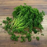 ราคา พาสเลย์อิตาเลี่ยนใบใหญ่ 100เมล็ด Curled Parsley Seeds ผลผลิตสูงแท้100% นำเข้าจากต่างประเทศ ราคาถูก ดี ผลผลิตสูง (57801518216)