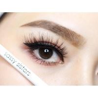 ราคา ดินสอเขียนคิ้ว sassy sister เส้นเล็ก เขียนง่าย ติดทน กันน้ำ (9182969545)