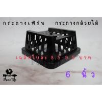 ราคา เฉลี่ยใบละ 8.5 - 9.5 บาทกระถางกล้วยไม้ กระถางเฟิร์น แบบเหลี่ยม ขนาด 6 นิ้ว กระถางกล้วยไม้ กระถางเฟิร์นพลาสติกสีดำ (10411722504)
