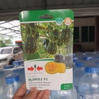 ราคา ฟักทองลูกผสม ถุงทอง F1 (42468104734)
