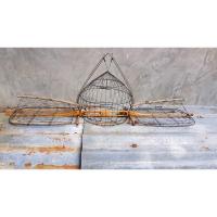 ราคา เพนียดนกเขาใหญ่ สองชาน (19934341198)