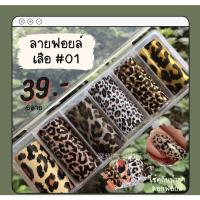 ราคา ลายฟอยล์ ลายเสือ ลายฟอย 6 ลาย ไม่ซ้ำกัน (12846033874)