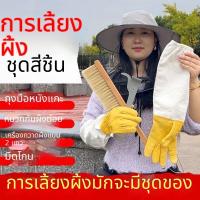 ราคา ชุดอุปกรณ์เลี้ยงผึ้ง ถุงมือหนังแกะกันผึ้ง หมวกตาข่ายกันผึ้ง แปรงปัดผึ้ง มีดขูดรังผึ้ง ชุดป้องกันผึ้ง อุปกรณ์ฟาร์มผึ้ง (28134300490)