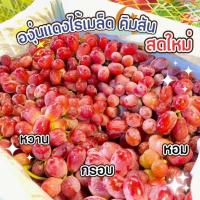 ราคา องุ่นแดงคิมสันออสเตรเลียไร้เมล็ดยกตะกร้า 4+ กิโลกรัมพร้อมส่ง (26309255470)