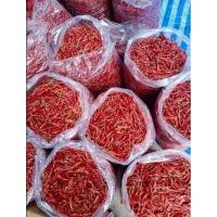 ราคา พริกจินดาแห้ง พริกแห้ง สีแดงสวย สะอาด สดใหม่ ไม่ค้างปี ขนาด 250 กรัม #พริกแห้ง # พริกจินดาแห้ง (23623917028)