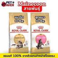 ราคา *ล๊อตใหม่* Royal Canin Maine coon 10kg. แมวโต / ลูกแมว แมวสายพันธุ์ เมนคูน 10 kg. อาหารแมว mainecoon (4910897767)