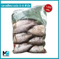 ราคา ปลาสลิดบางบ่อ แพ็คละ 1 กก. ปลาสลิด ไซส์ 6 ตัว/โล ปลาสลิดแดดเดียว (21844972306)