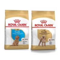 ราคา Royal canin Poodle Puppy / Adult อาหารลูกสุนัข และ สุนัขโต พันธุ์พุดเดิ้ล ขนาด 1.5 KG (10312520917)