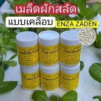 ราคา เมล็ดพันธุ์ผักสลัด ชนิดเคลือบ Enza Zaden อัตราการงอกสูง กระปุก 1,000 เมล็ด (42955775471)