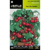 ราคา เมล็ด มะเขือเทศเตี้ย ไทนี่ ทิม - Tiny Tim Tomato (142818646)