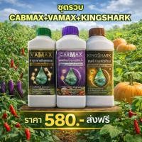 ราคา (C1+V1+K1)ปุ๋ยน้ำทางใบสำหรับพืชทุกชนิด cabmaxแคลเซียมโบรอน+vamaxธาตุรวม+kingsharkแมกนีเซียมซิงค์ ชุดรวม3สูตร (44479695675)
