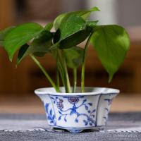 ราคา Jingdezhen Pure Hand-Drwn โบราณ Mini กระถางดอกไม้ Blue White Porcelain จีนเซรามิคกระถางดอกไม้ขนาดเล็กเซรามิค Bird ขวดอาหาร (49708010471)